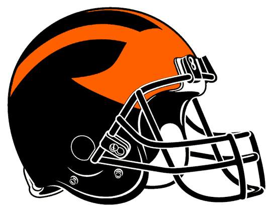 Princeton Tigers 1998-Pres Helmet Logo diy DTF decal sticker